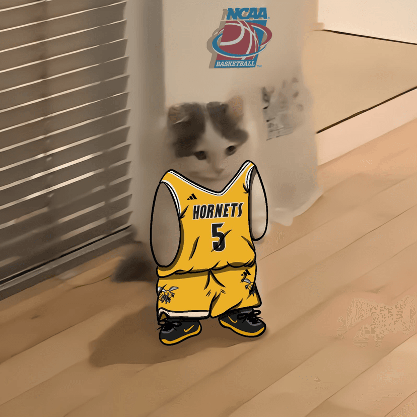 March Madness Series