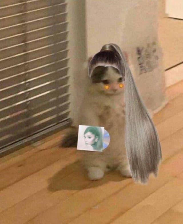 Ariana Grande shared