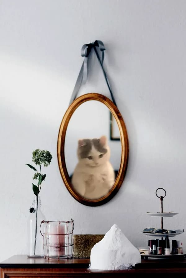 cocaine mirror