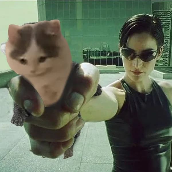matrix trinity sunglasses movies gun