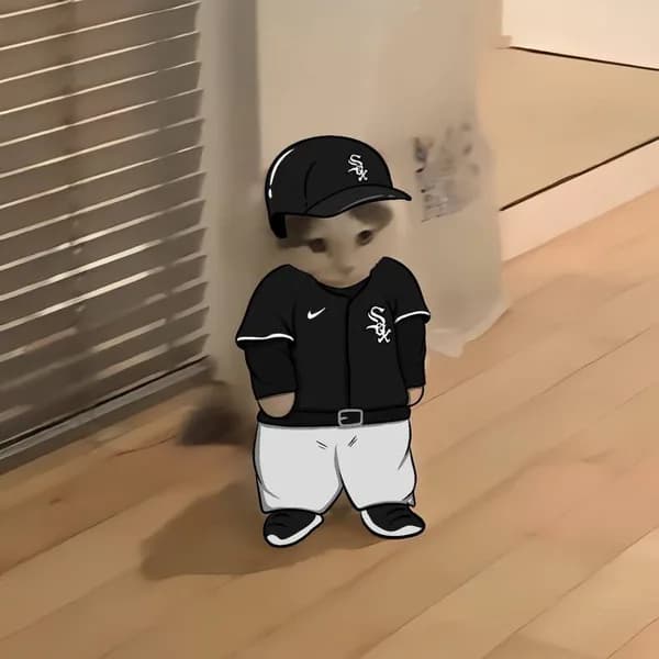 mlb baseball sports chicagowhitesox americanleaguecentral