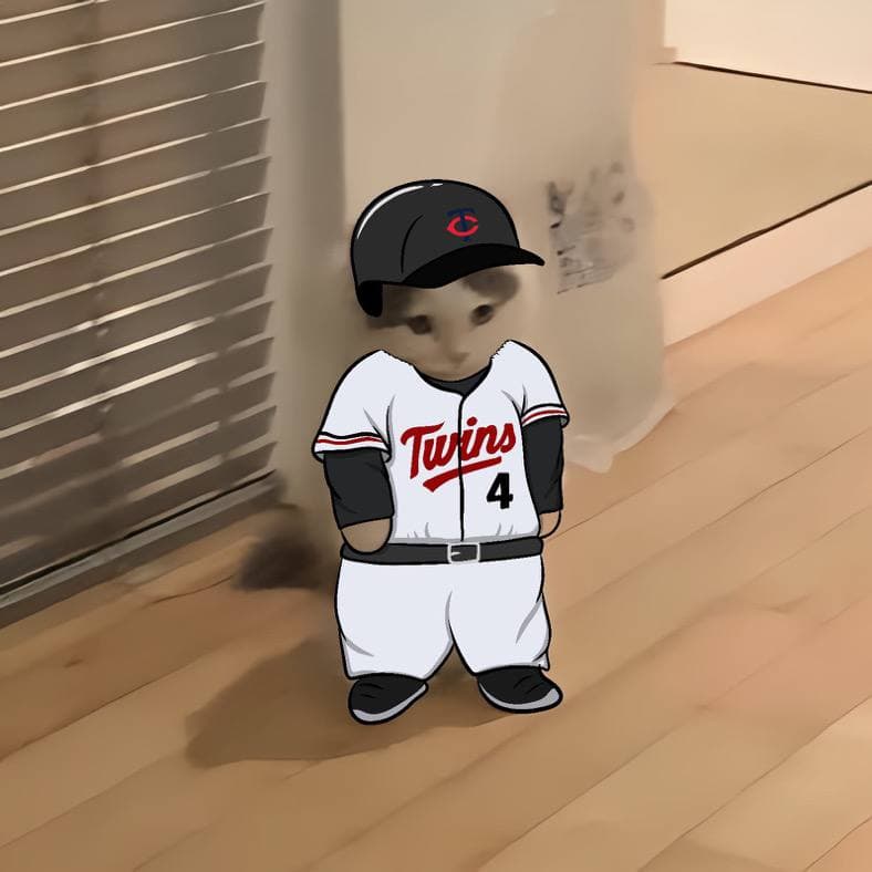 mlb baseball sports americanleaguecentral minnesotatwins