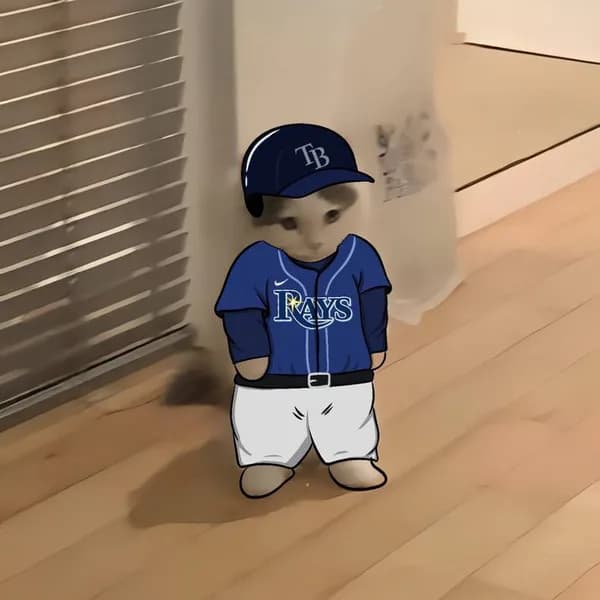 mlb baseball sports americanleagueeast tampabayrays