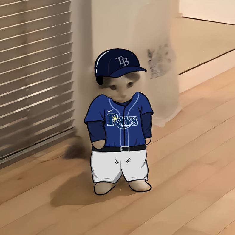 mlb baseball sports americanleagueeast tampabayrays