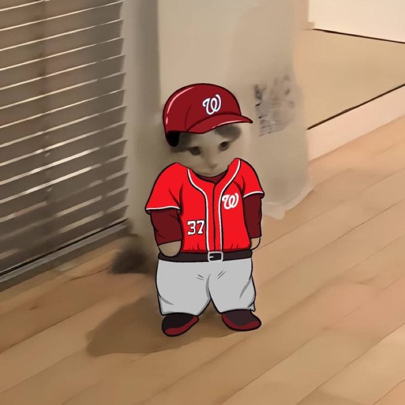 mlb baseball sports nationalleagueeast washingtonnationals