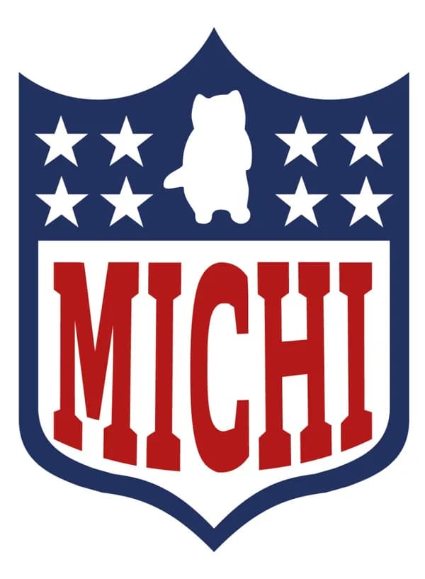 nfl football