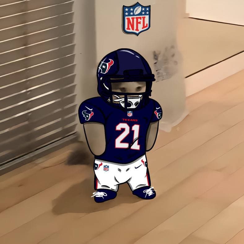 nfl football sports houston texans