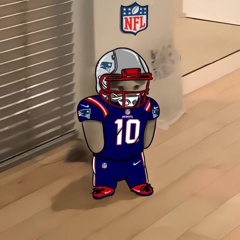 nfl football sports new england patriots