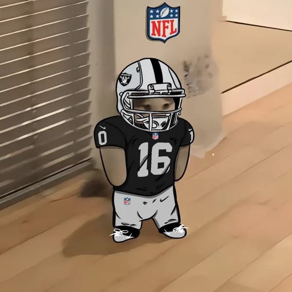nfl football sports oakland raiders