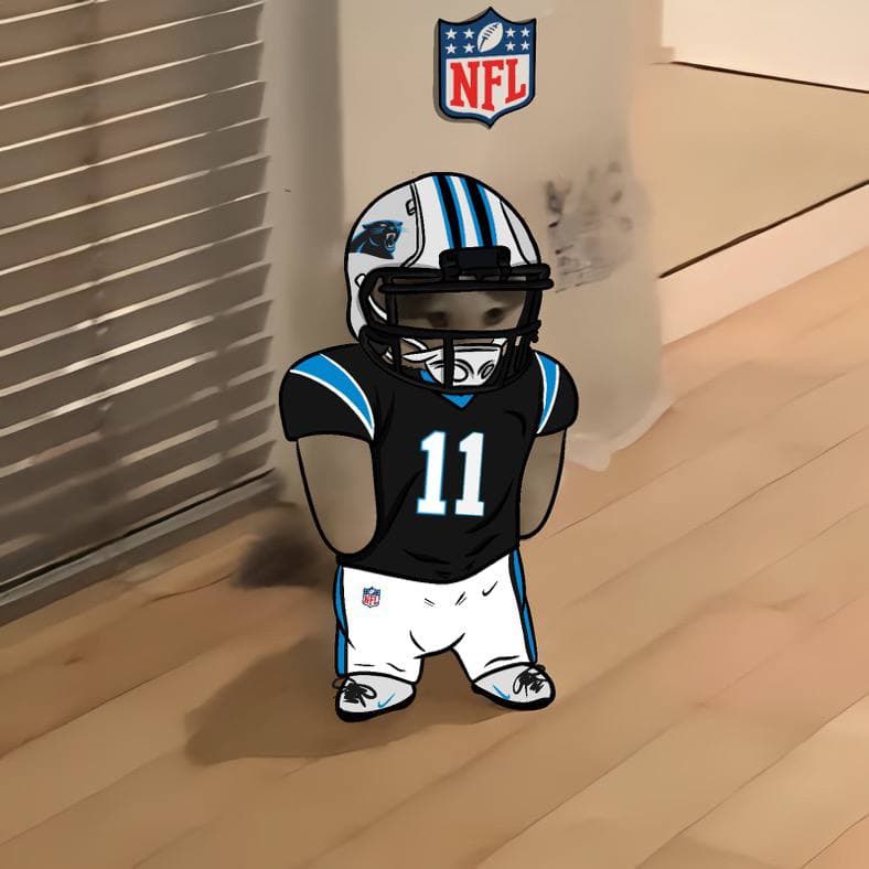 nfl football sports carolina panthers
