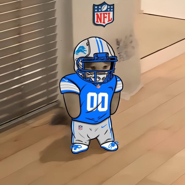nfl football sports detroitlions