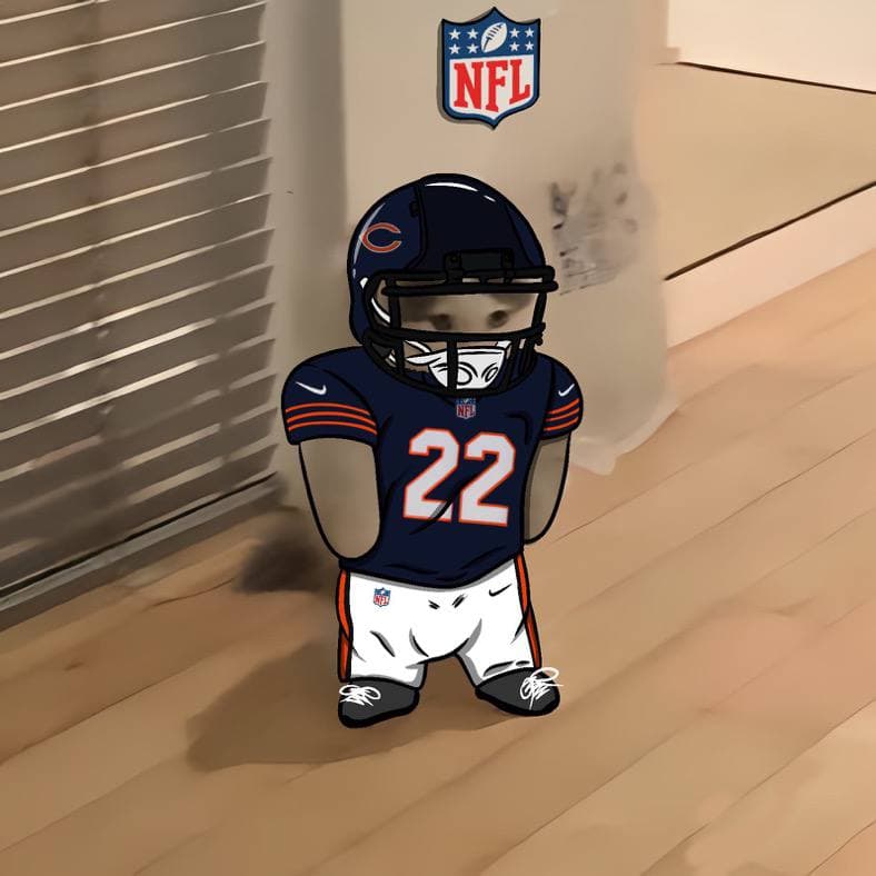 nfl football sports chicago bears