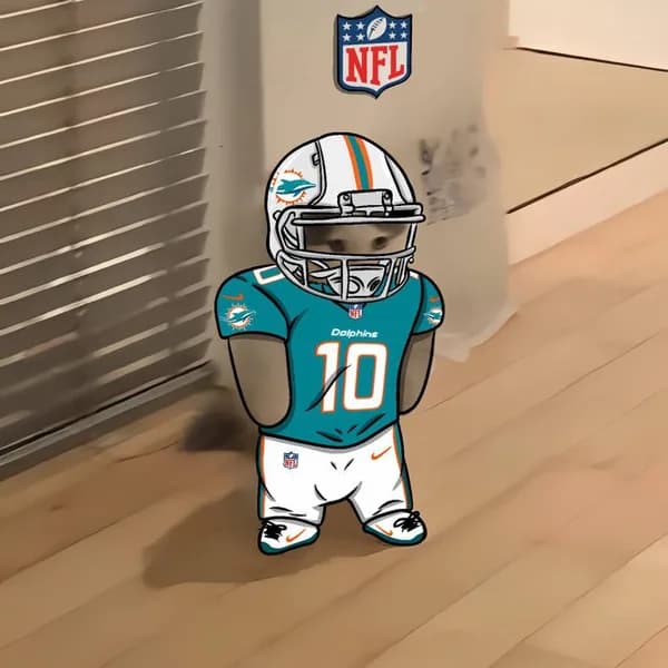 nfl football sports miami dolphins