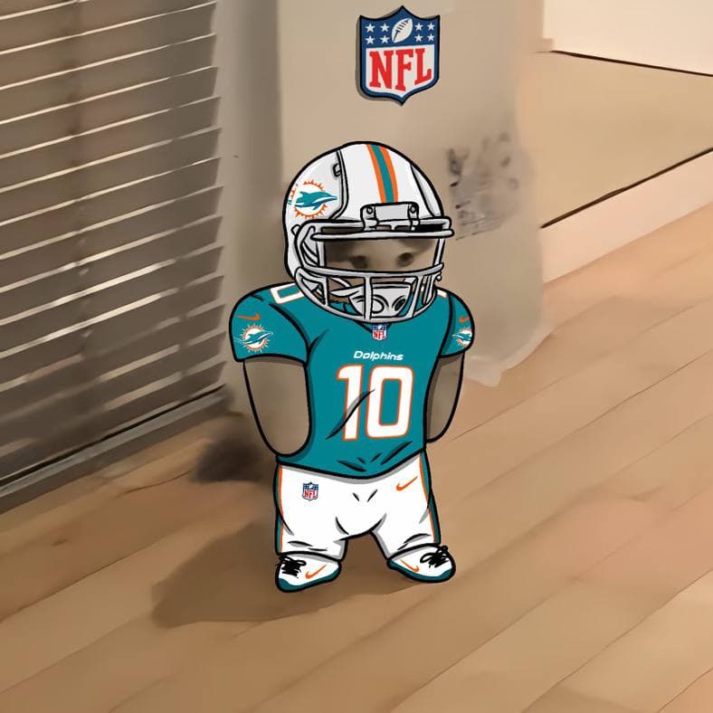 nfl football sports miami dolphins