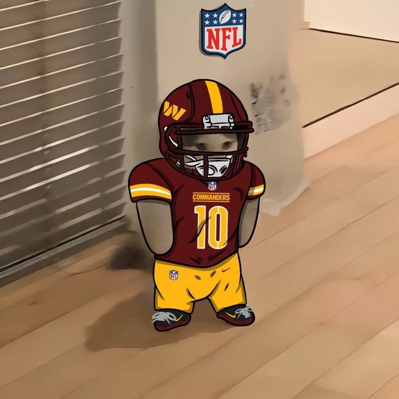 nfl football sports washington commanders