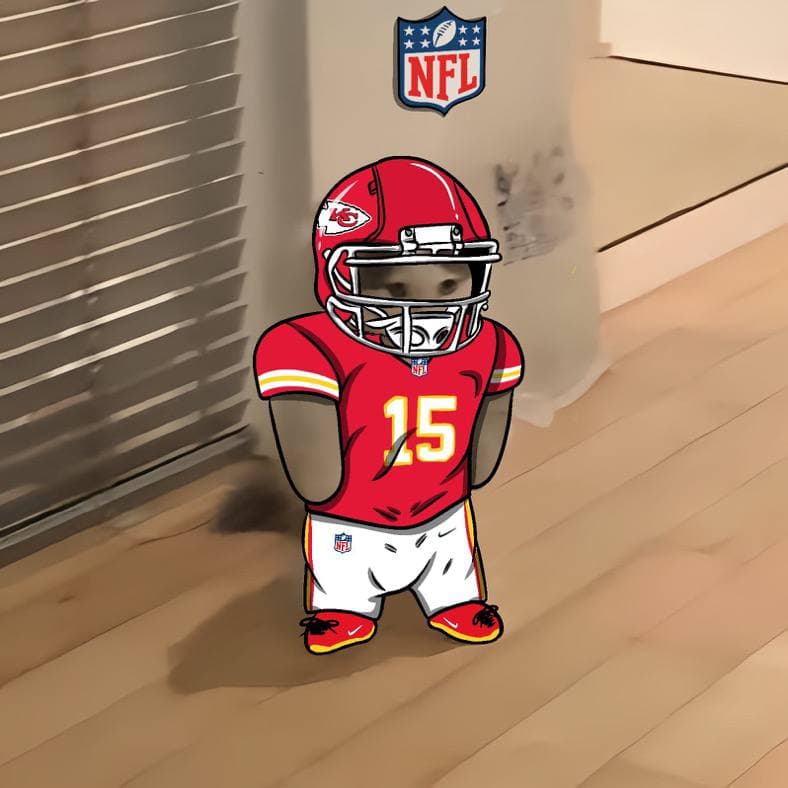 nfl football sports kansas city chiefs
