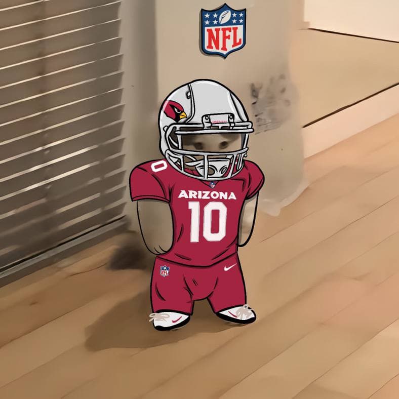 nfl football sports arizona cardinals