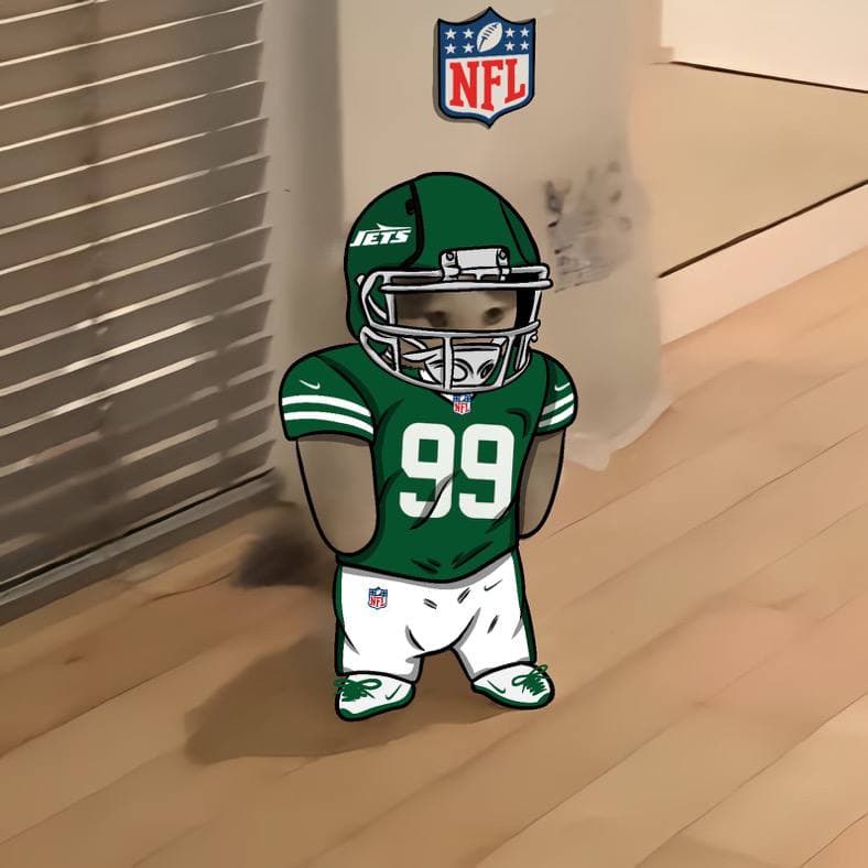 nfl football sports new york jets