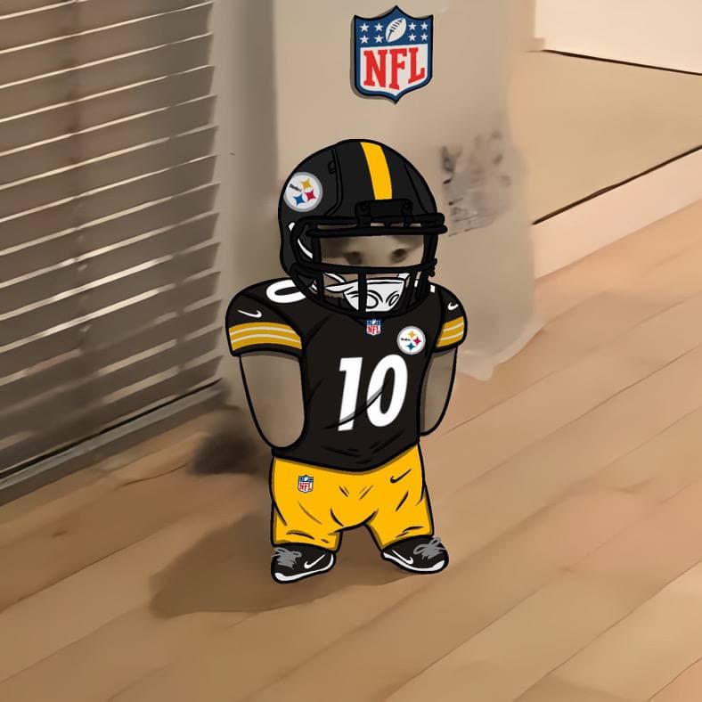 nfl football sports pitt steelers