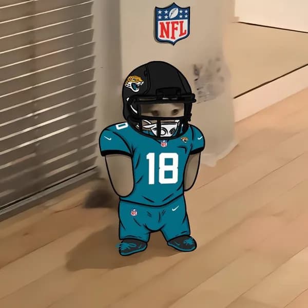 nfl football sports jaguars jacksonville