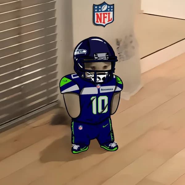 nfl football sports seattle seahawks