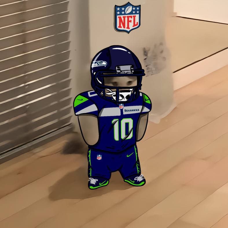 nfl football sports seattle seahawks