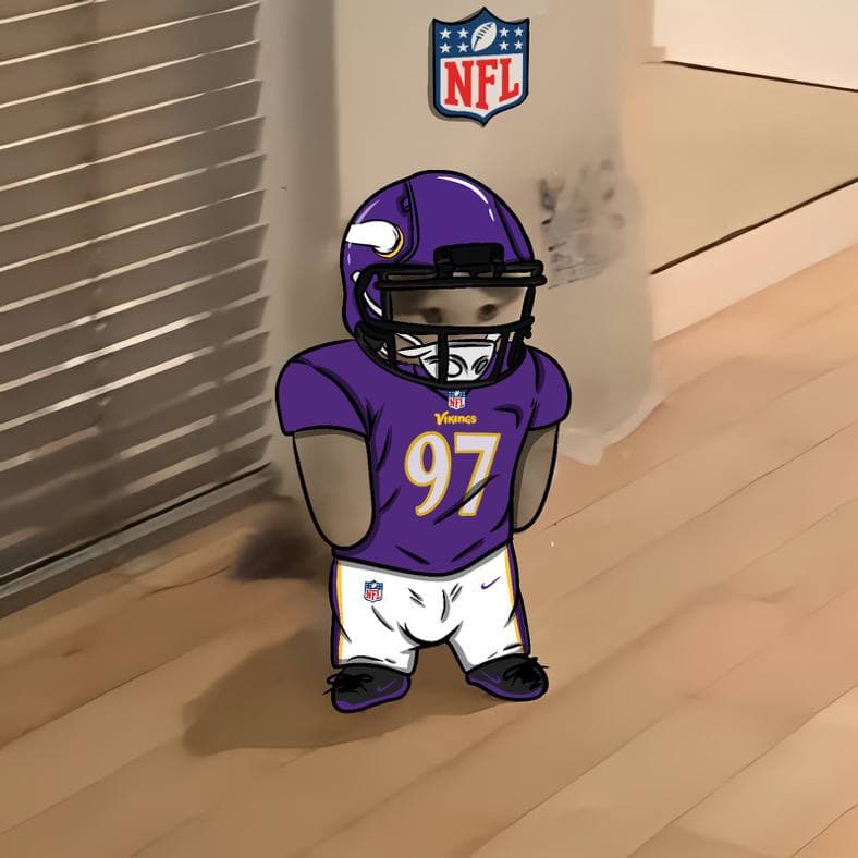 nfl football sports minnesota vikings