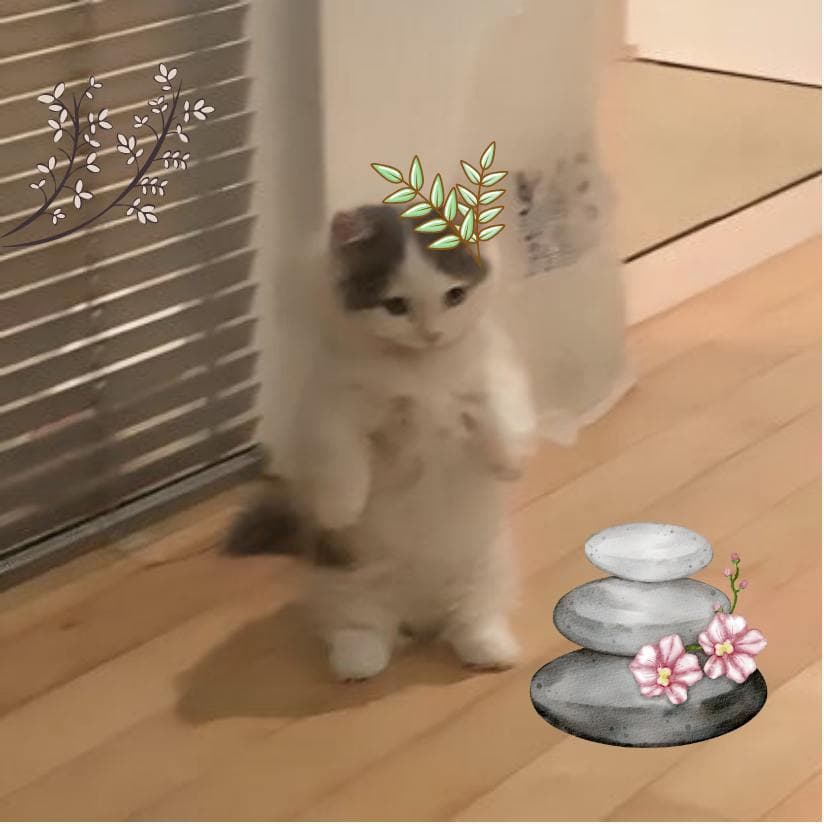 cute meditate hat flower