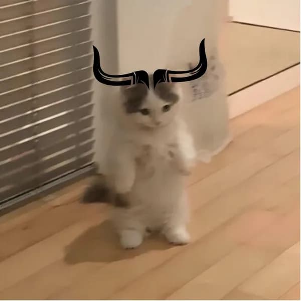 bull horns