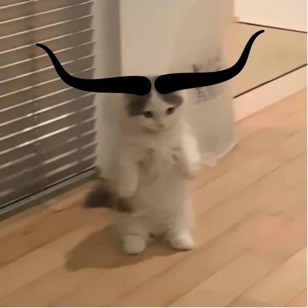 bull horns
