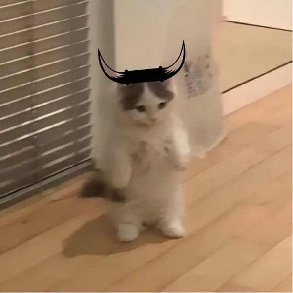 bull horns