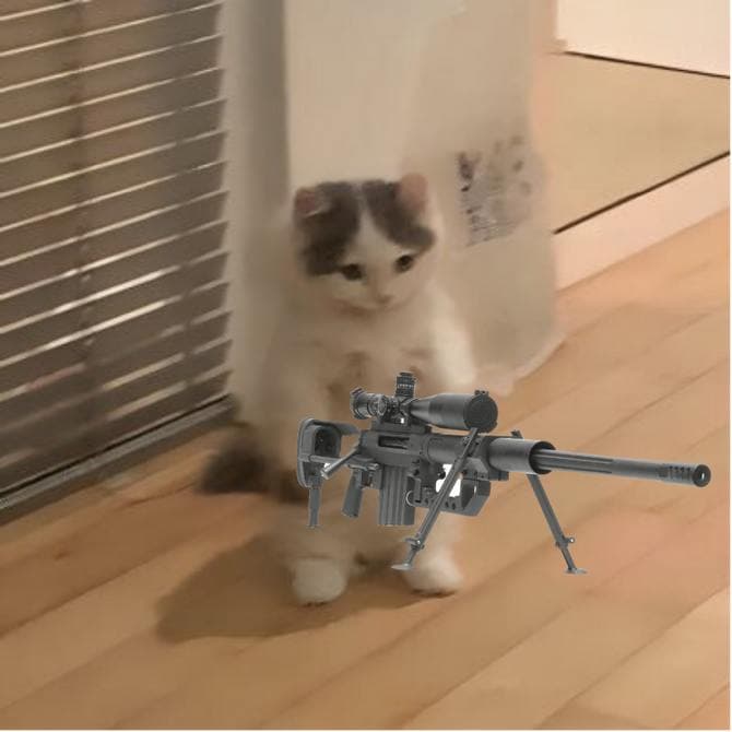 sniper gun weapon