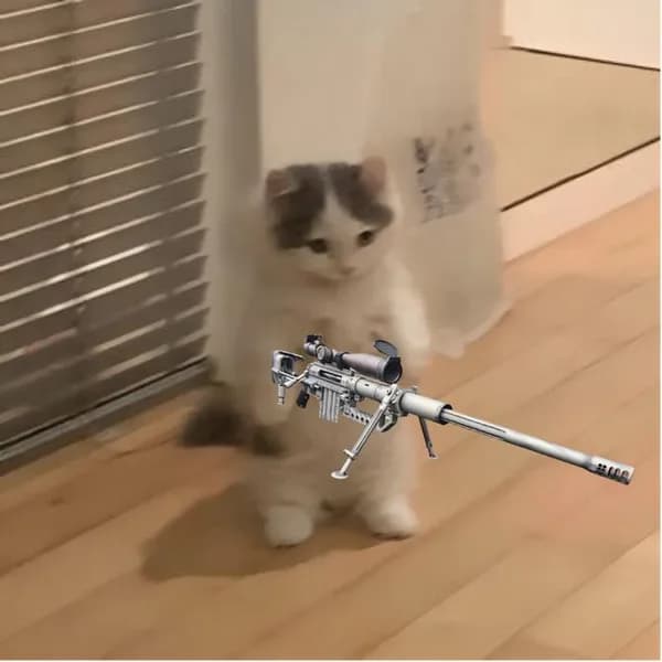 sniper gun weapon
