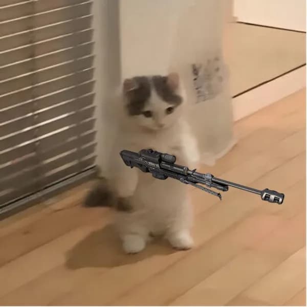 sniper gun weapon