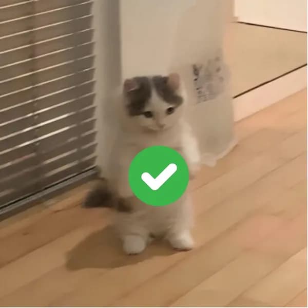 greencheck