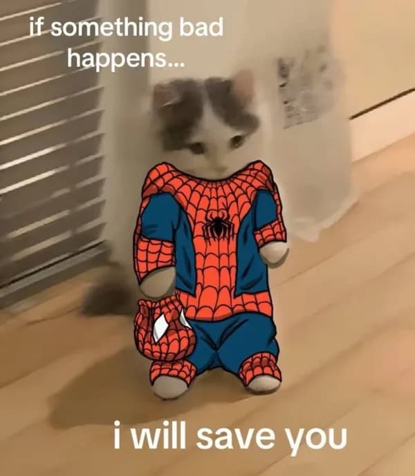 spiderman marvel save