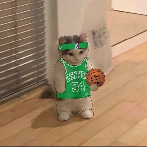 boston celtics nba basketball sport