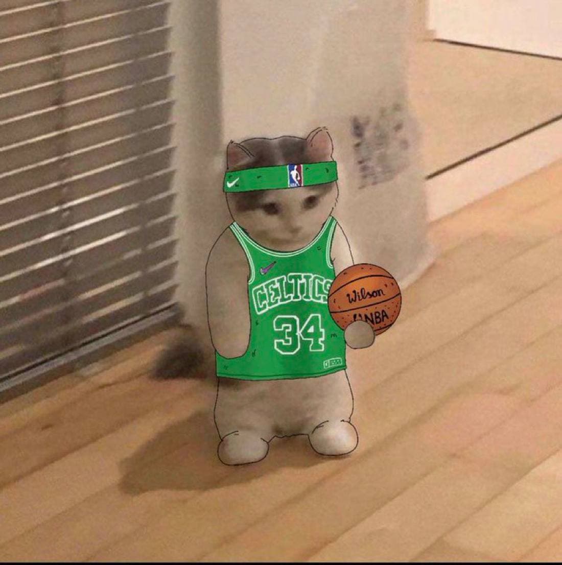 boston celtics nba basketball sport