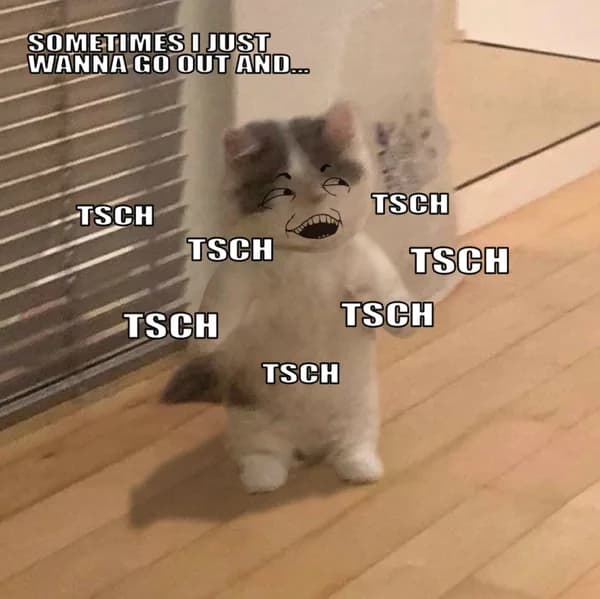 meme tsch troll