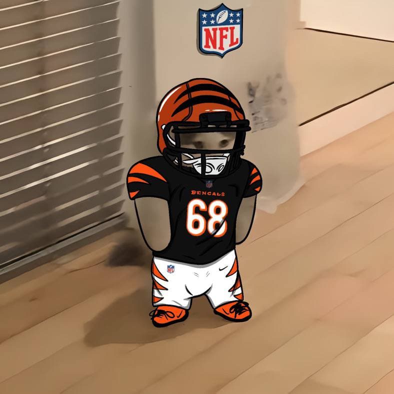nfl football sports bengals cincinnati