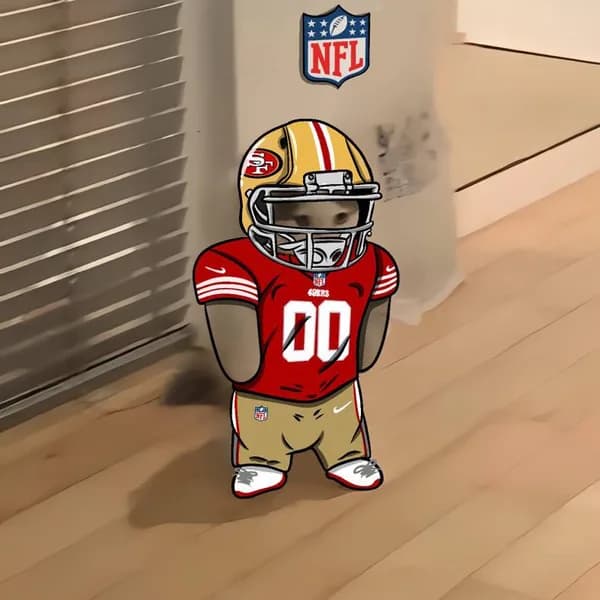 nfl football sports san francisco 49ers