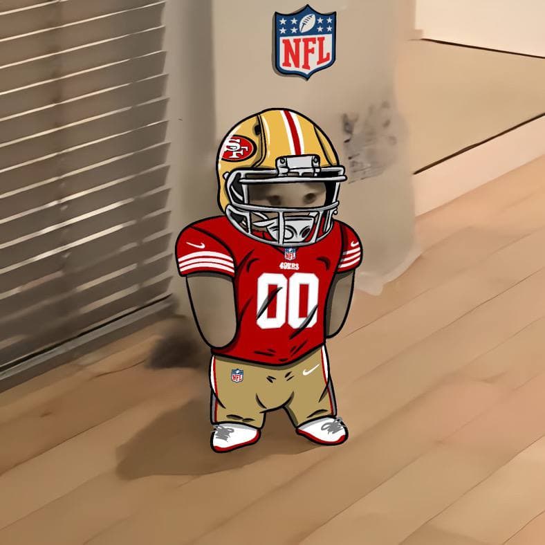 nfl football sports san francisco 49ers
