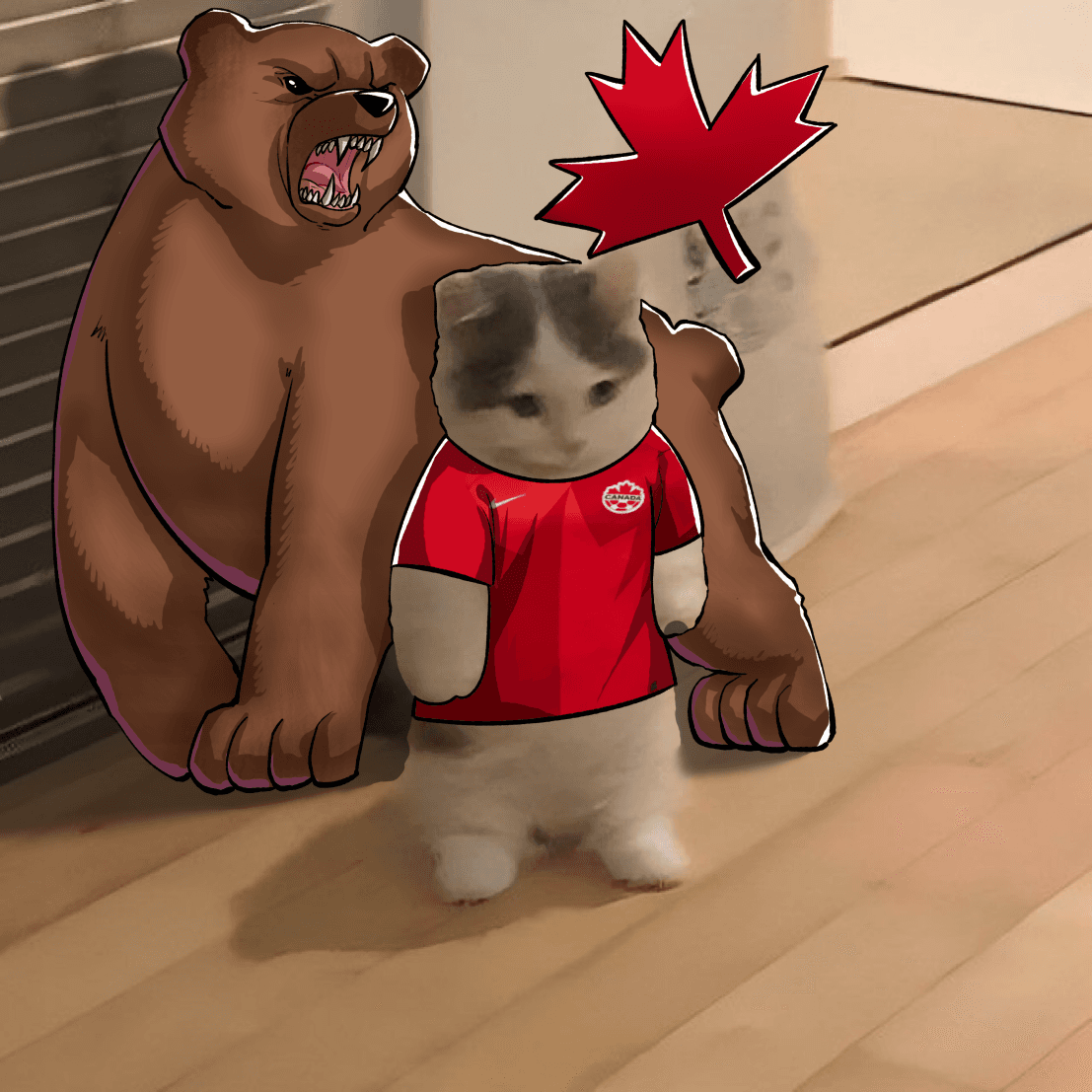 CANADA world cup 2026 WC26