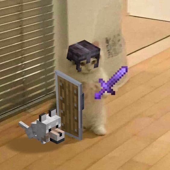 minecraft game sword shield