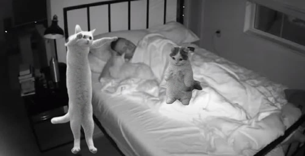 long cat
