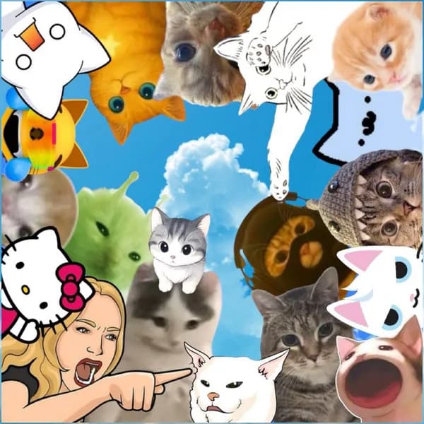 cats