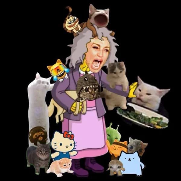 cats