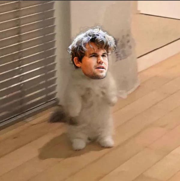 chess magnuscarlsen