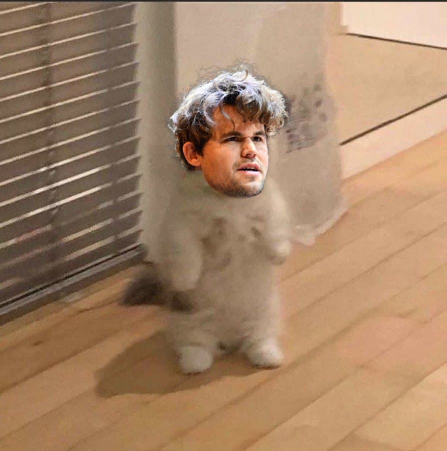 chess magnuscarlsen