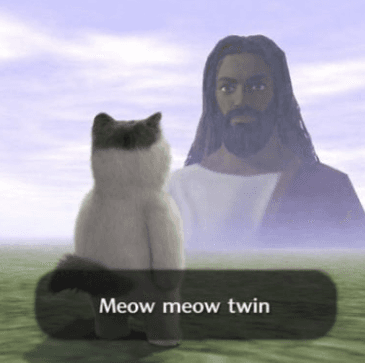 twin